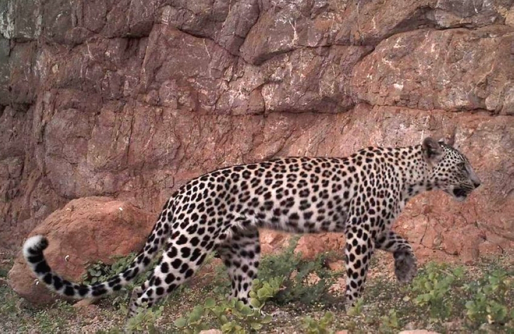 Oman seventh-best tourist destination in the world: GC 