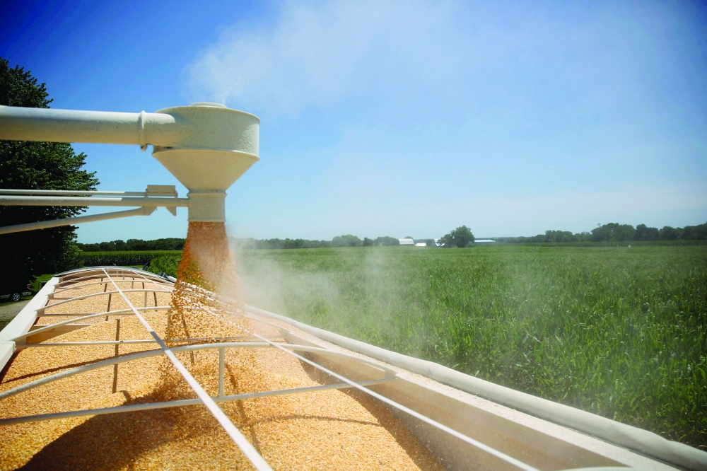 ارتفاع أسعار السلع الاستهلاكية في الولايات المتحدة إلى أعلى مستوياتها منذ 40 عاما