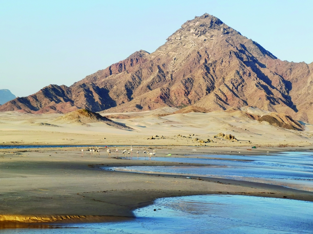 سدح.. أرض العيون المائية.. وذاكرة جمع اللبان وتصديره إلى العالم