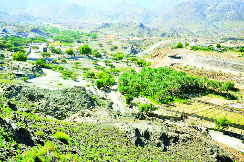 أهالي «غظفان» بعبري يطالبون بإنشاء سدود للتـغذية الجـوفيـة وتقويـة شـبكة الاتصالات