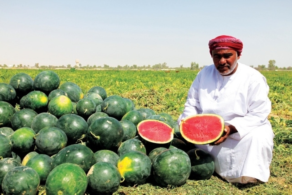 الأنواع النباتية الفريدة في سلطنة عمان .. قيمة اقتصادية وتعزيز للأمن الغذائي 8 الأنواع النباتية الفريدة في سلطنة عمان .. قيمة اقتصادية وتعزيز للأمن الغذائي