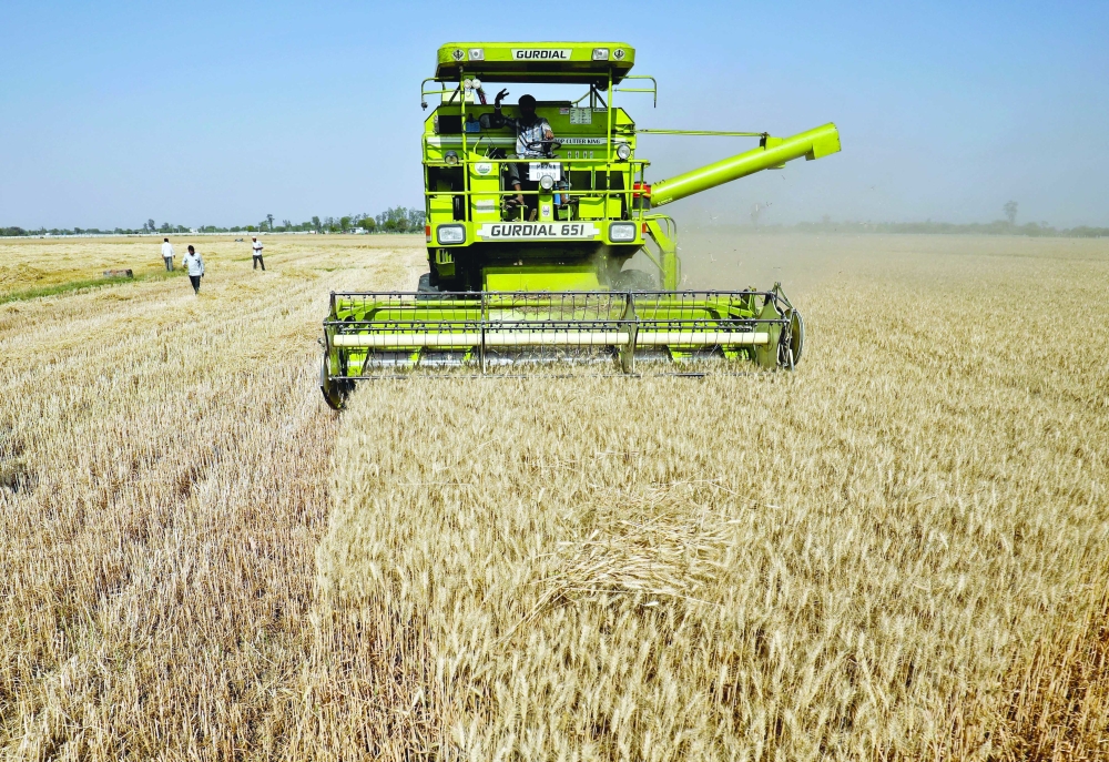 الحرب في أوكرانيا تعيد رسم خارطة توزيع القمح والجوع في العالم