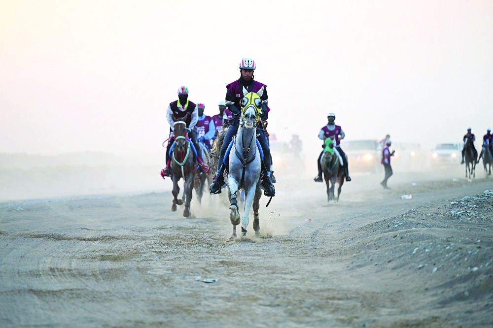 مشاركة واسعة في ختام موسم القدرة والتحمل