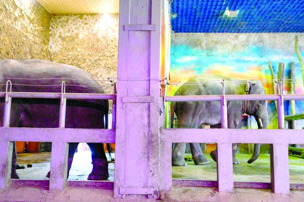 أكبر حديقة للحيوانات في أوكرانيا تشهد حصاراً “قرب الخطوط الأمامية” للمعارك