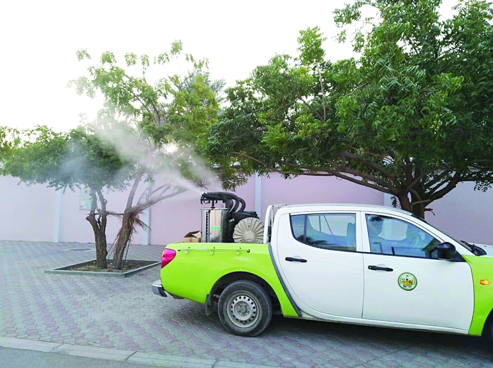 حملة مكثفة لمكافحة الزاعجة المصرية بمسقط