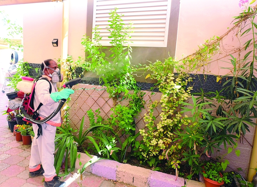 د. عبدالله المنجي: سلوكيات خاطئة وراء انتشار الزاعجة المصرية