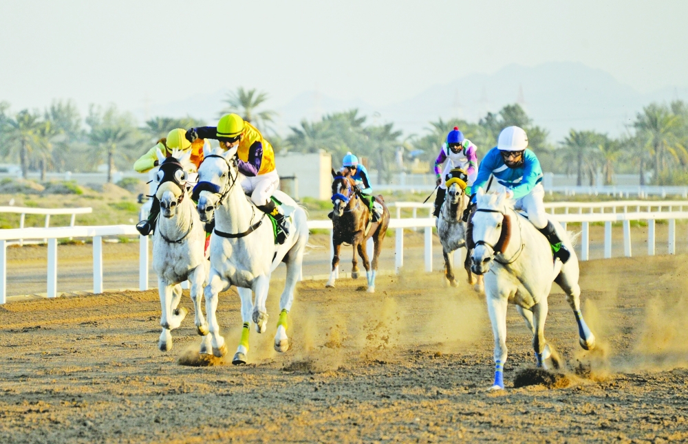 إسدال الستار على موسم سباقات الخيل على مضمار الرحبة .. غداً
