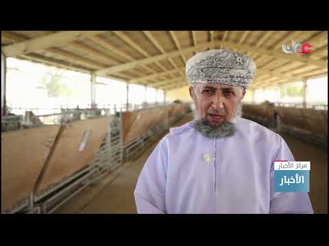 محطة البحوث الحيوانية.. 32 عاما من النشاط البحثي لتنمية الثروة الحيوانية