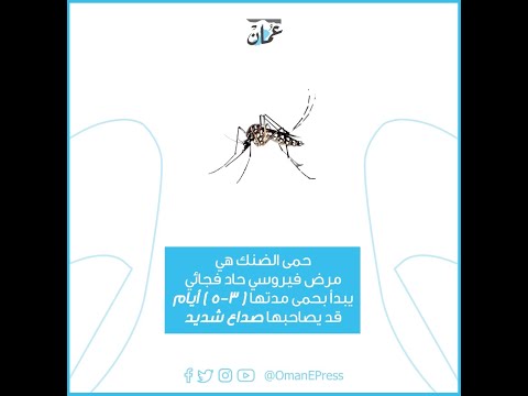 معلومات عن حمى الضنك