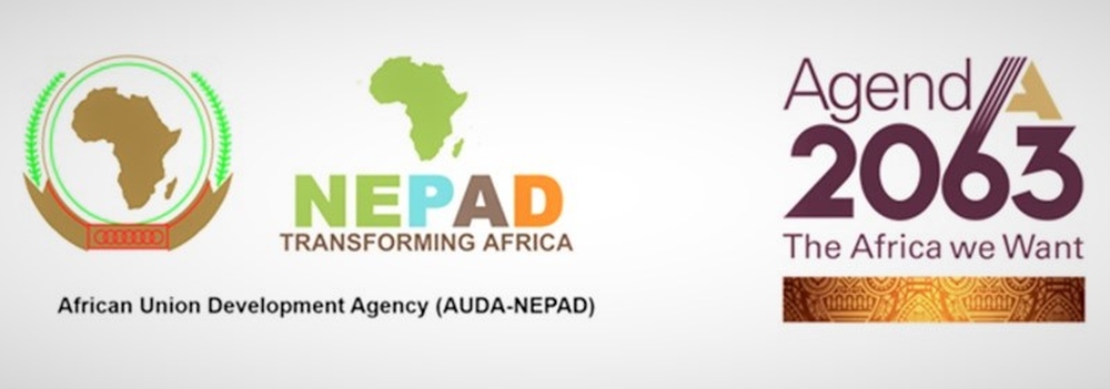 خبراء الاتحاد الافريقي يؤكدون على دور الرقمنة في إسراع عجلة النمو والتعافي الاقتصادي