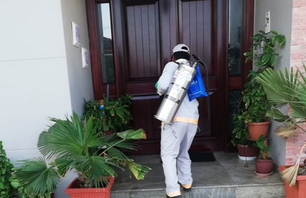 Fumigation drive: Over 3,000 houses covered in Muscat