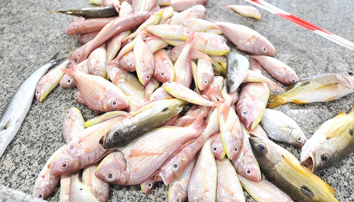 70% of Oman's fish production comes from 2 governorates