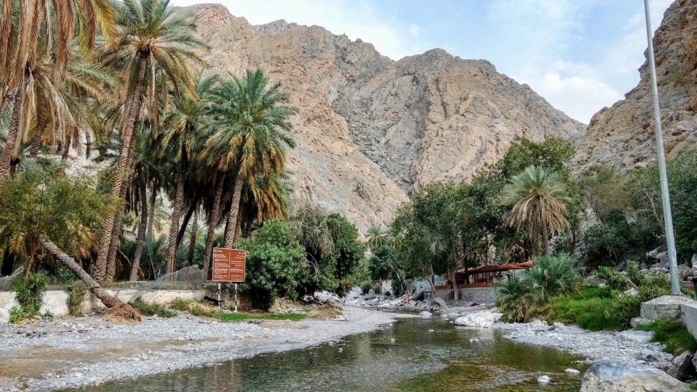 230 ألف زائر لسلطنة عمان بنهاية فبراير الماضي
