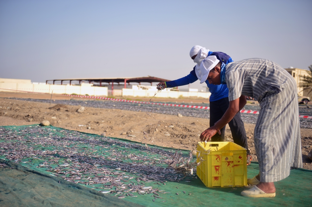 إقبال على الأسماك في رمضان .. والصيادون يفضلون «الهيال»
