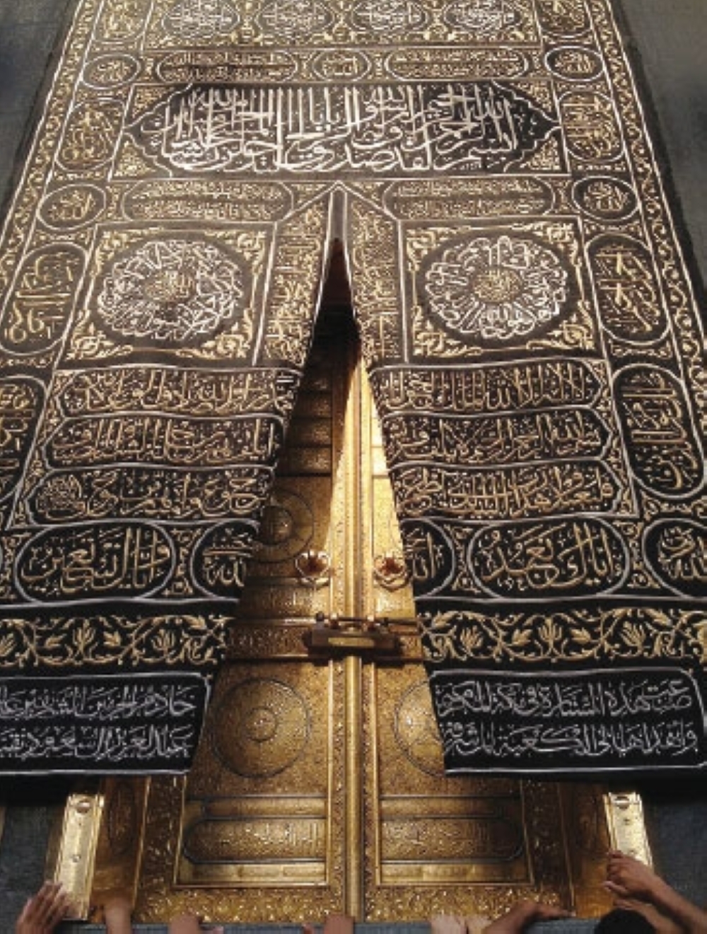 فاطمة بنت أسد