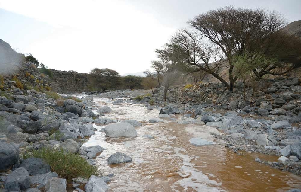 أمطار على عدد من الولايات.. وتوقعات بتواصلها غدًا