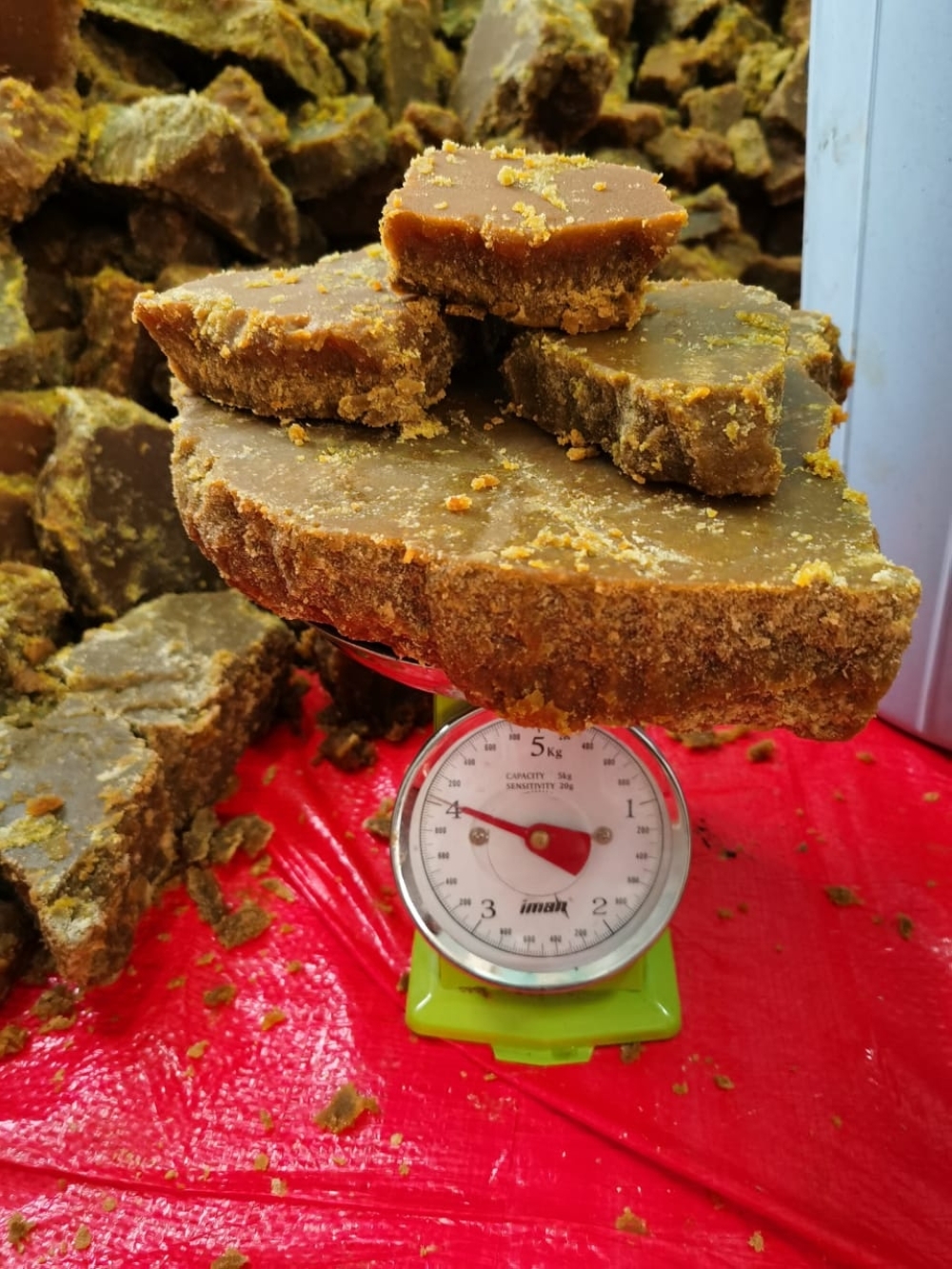 25 طُنًّا محصول قصب السكر بولاية منح