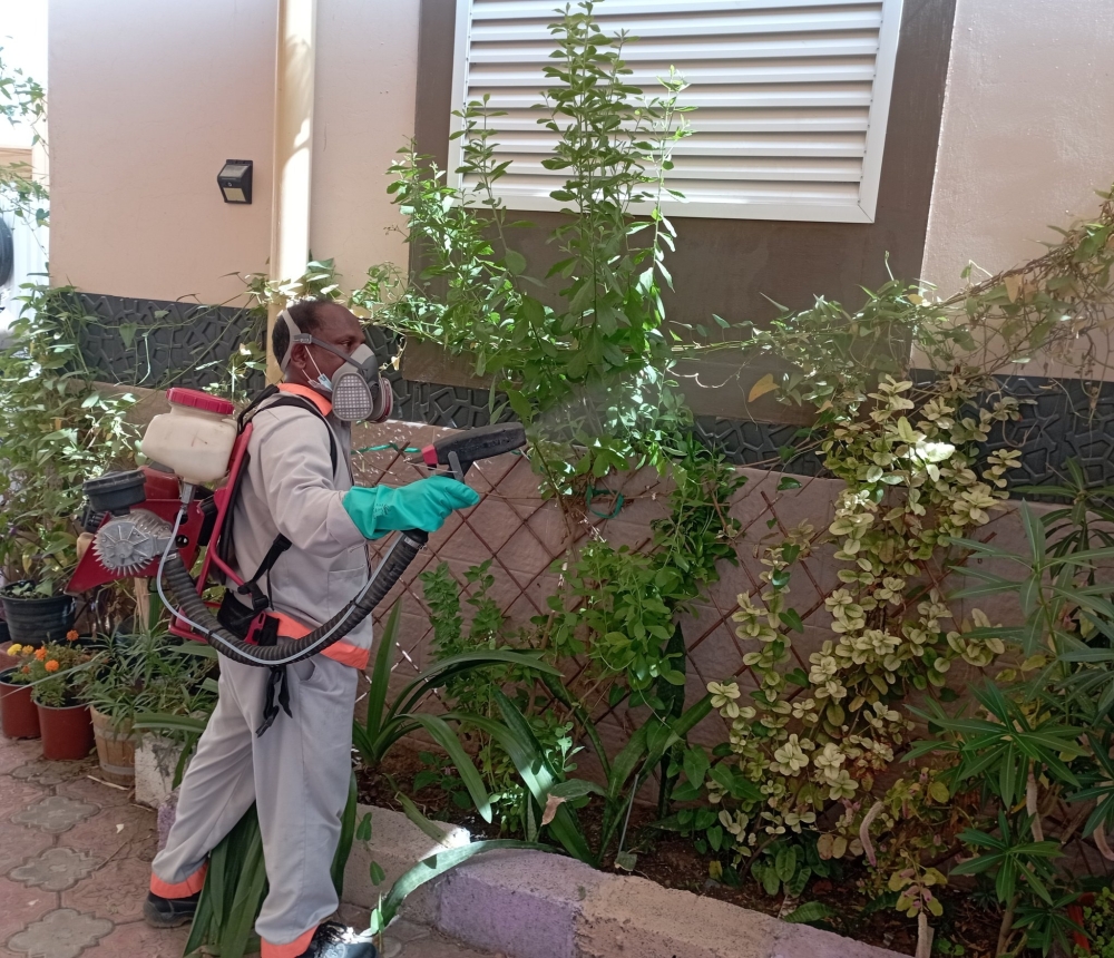 “صحية مسقط” تكثف حملاتها لمكافحة انتشار الزاعجة المصرية