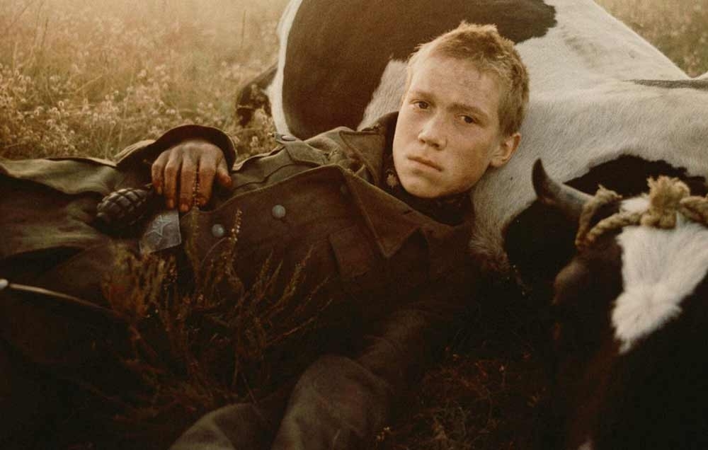 السينما وظل الحرب الطويل