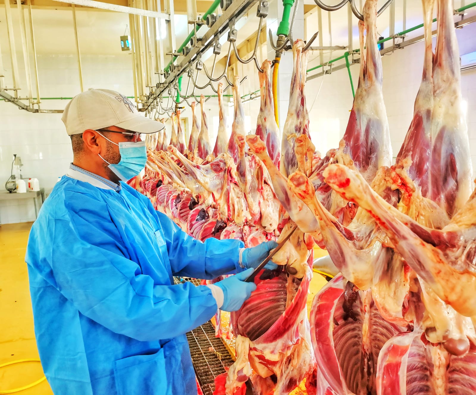 استعداد دائرة الشؤون البلدية بالخابورة لعيد الفطر المبارك