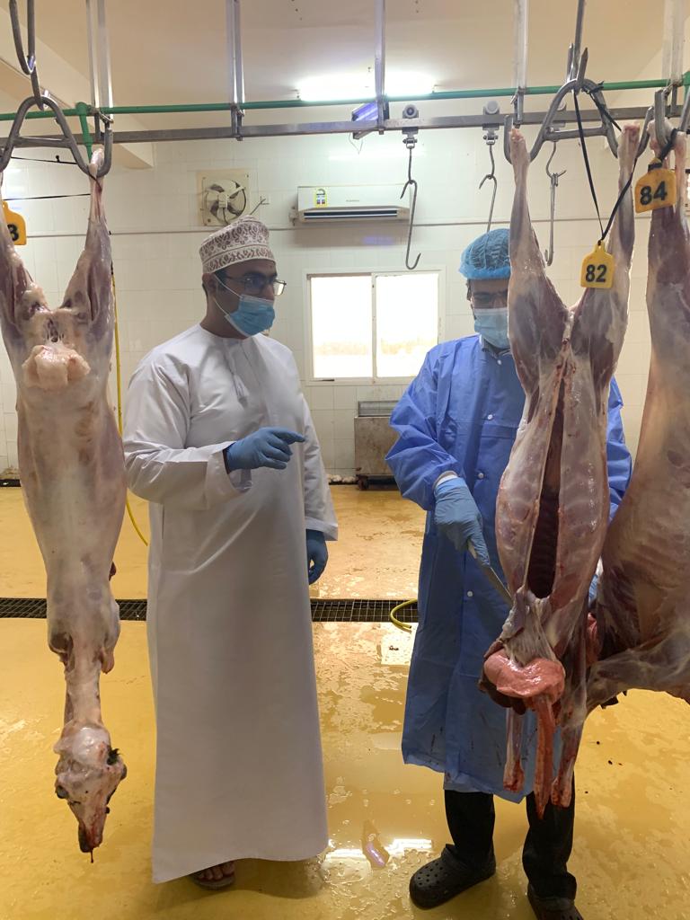 استعداد دائرة الشؤون البلدية بالخابورة لعيد الفطر المبارك 2 IMG 20220429 WA0017