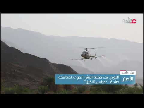 بدء حملة الرش الجوي لمكافحة حشرة “دوباس النخيل”