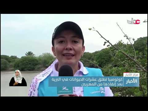 كولومبيا تطلق عشرات الحيوانات في البرية بعد إنقاذها من المهربين
