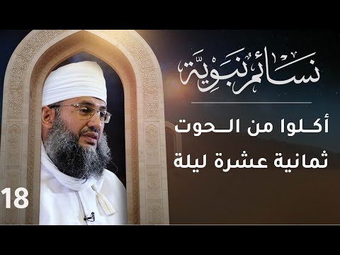 [18] أكلوا من الحوت ثمانية عشرة ليلة | نسائم نبوية