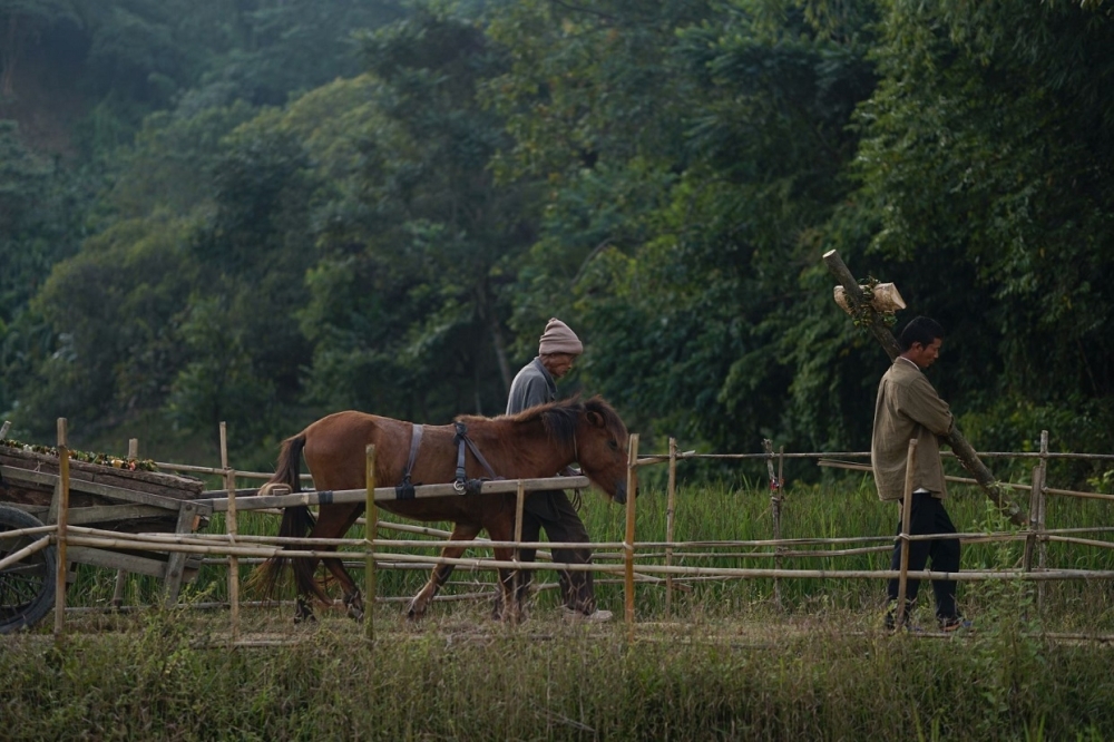 “الدوحة للأفلام” تعلن اختيار 44 فيلما للحصول على منح الربيع لعام 2022