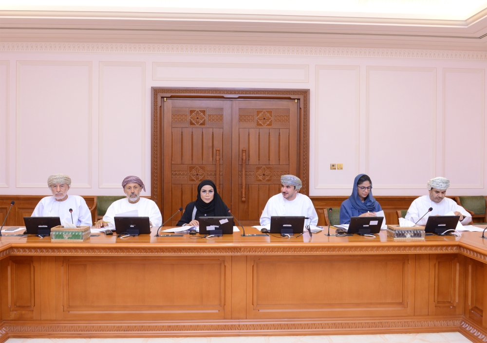 مناقشة دور الفنون في دعم الاقتصاد بمجلس الدولة