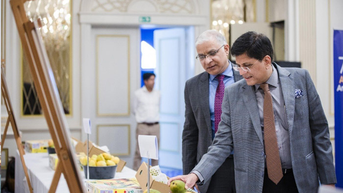 Indian mangoes make foray into European market