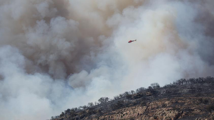 Europe's June heatwave sparks wildfires warning