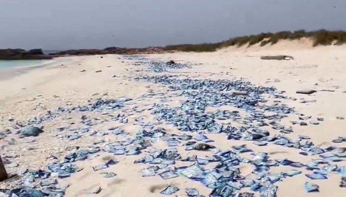 Detergent packets in Omani waters to be cleaned up by specialist teams