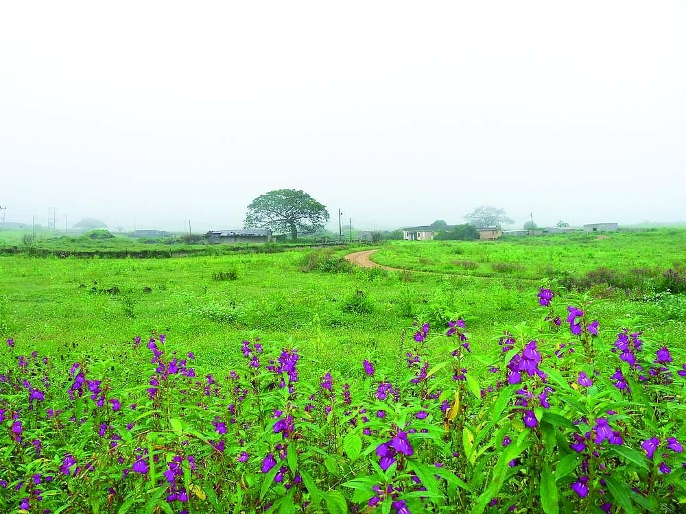«طوي أعتير».. نيابة جبلية تزين سلسلة جبال ظفار