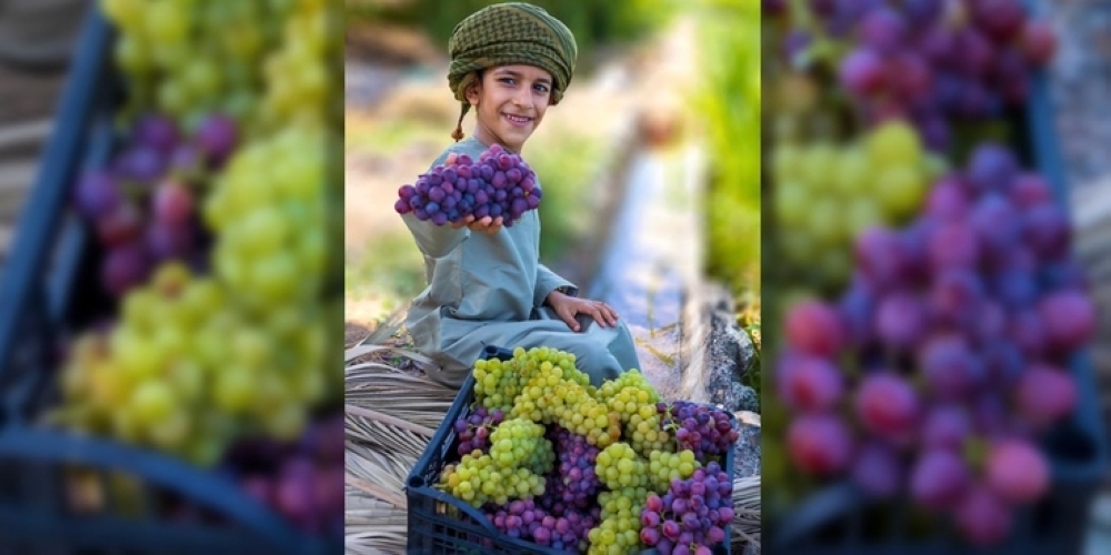 سلطنة عمان تشارك دول العالم الاحتفاء باليوم العالمي لسلامة الأغذية