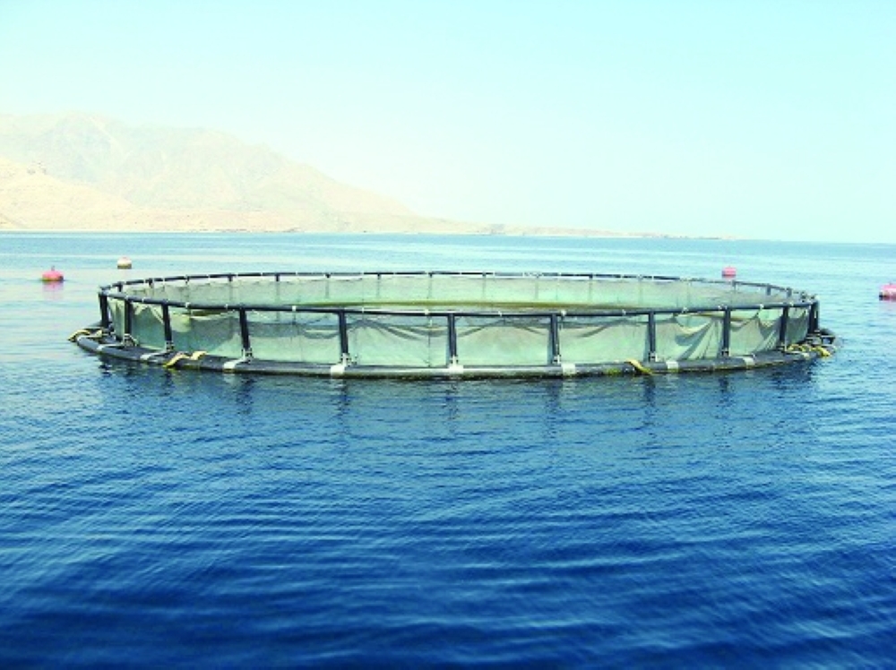 مبادرة «الاقتصاد الأزرق».. فرص استثمارية واعدة ومعززة للأمن الغذائي