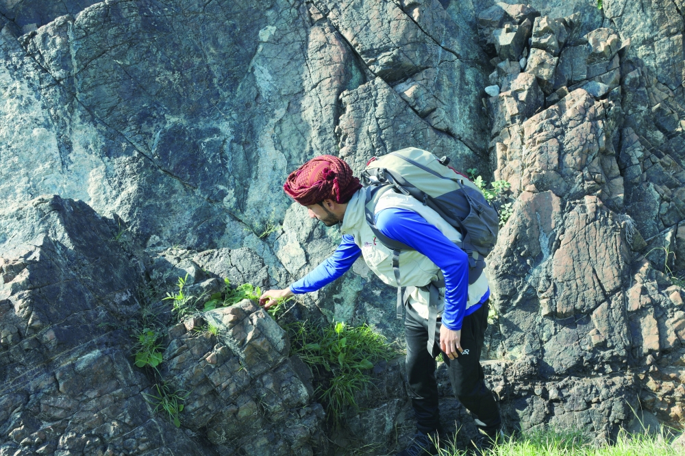 إنجاز 90% من منصة بيانات الموارد النباتية بسلطنة عمان