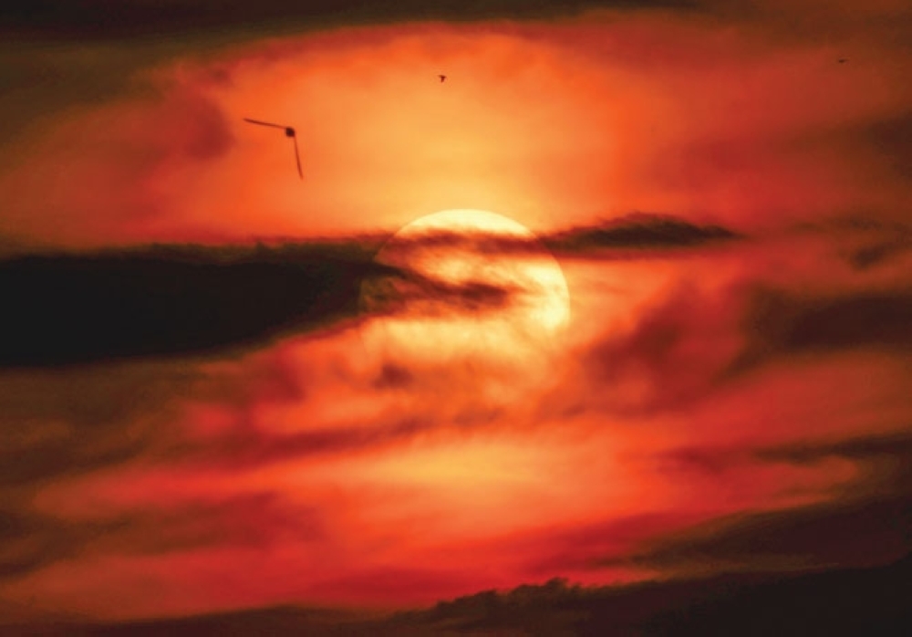 إجلاء أكثر من 3000 شخص بسبب حرائق الغابات في جنوب إسبانيا