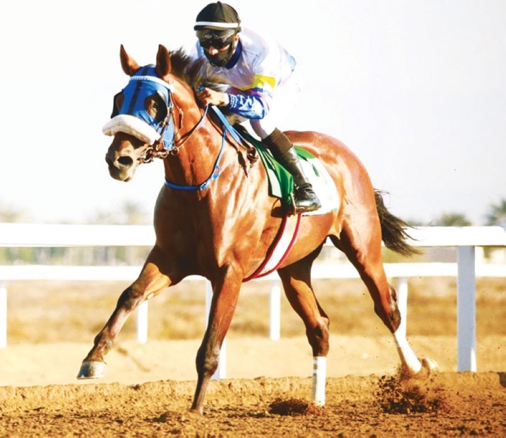 المنظمة العالمية للخيول تُدرج الحصان «المفحم» بالقائمة الفائزة بدروعها