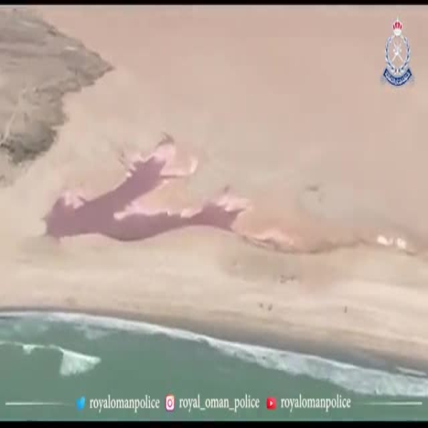 البحث عن مفقودين قبالة سواحل الأشخرة