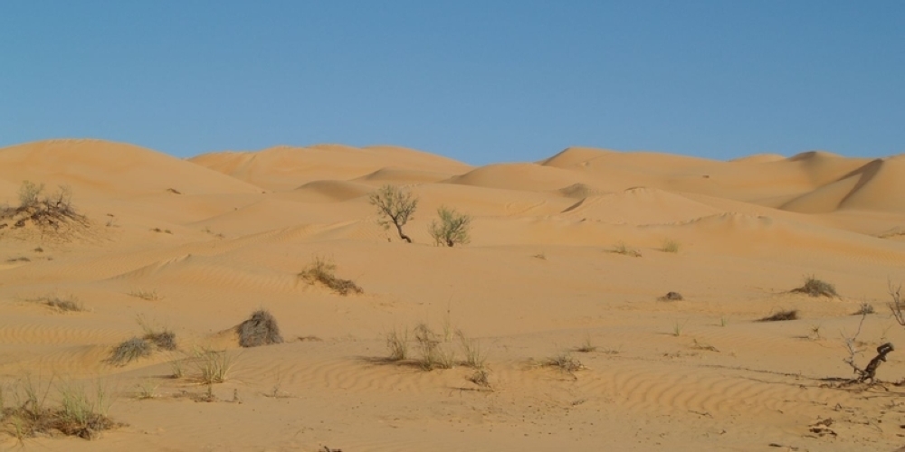 بعد غدٍ.. سلطنة عُمان تشارك دول العالم الاحتفال باليوم العالمي لمكافحة التصحر والجفاف
