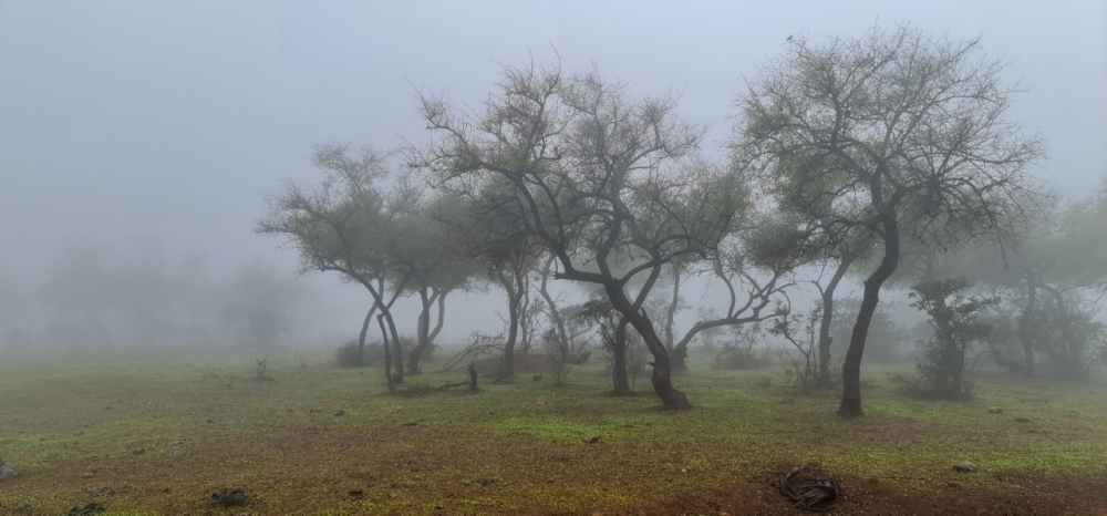 بدء موسم الخريف بمحافظة ظفار