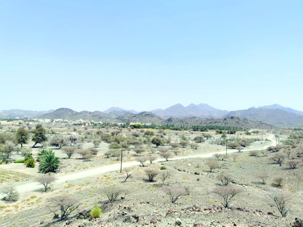 أهالي «النجيد» في سمائل يعانون من وعورة الطريق ويناشدون برصفه