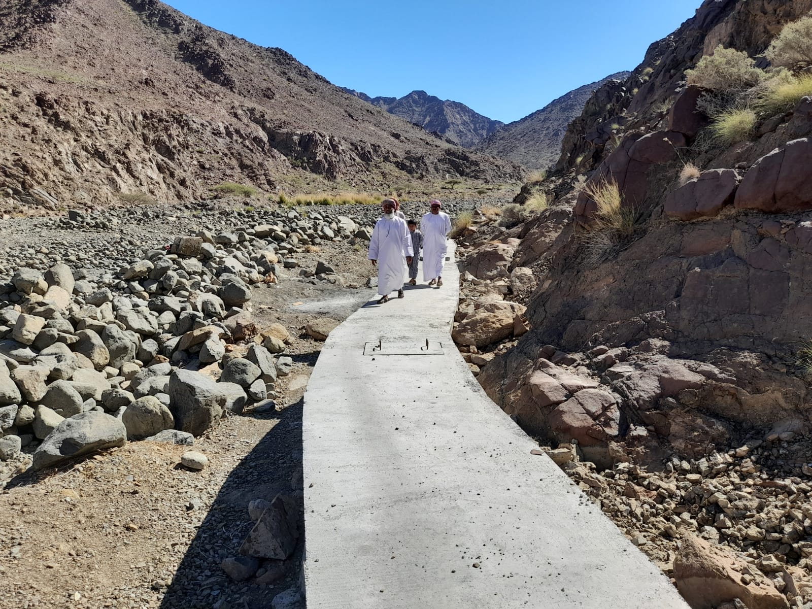 الانتهاء من تعويض المزارعين بالظاهرة جراء أضرار الحالة المدارية /شاهين/