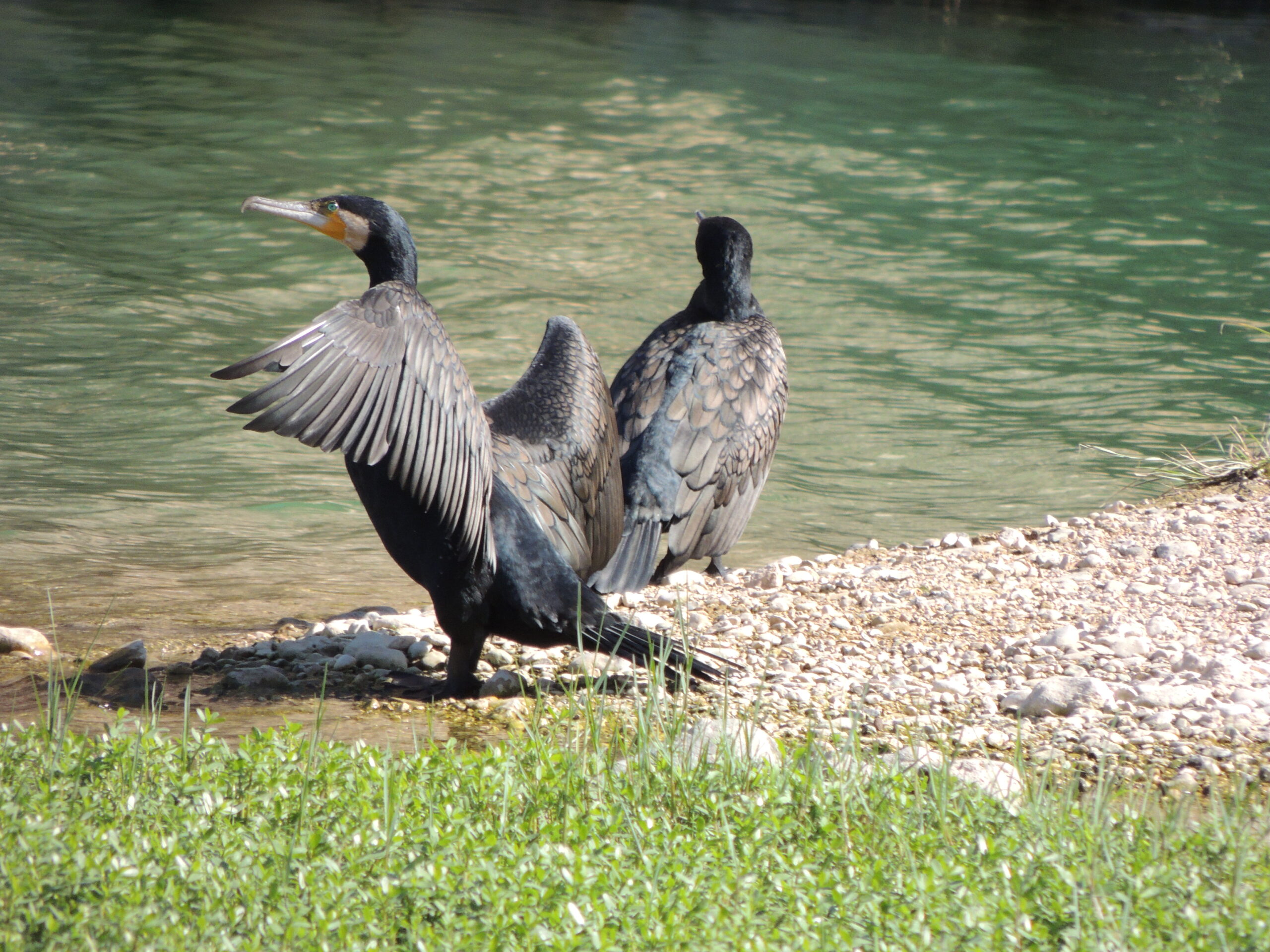 62bb10ca72d07 scaled