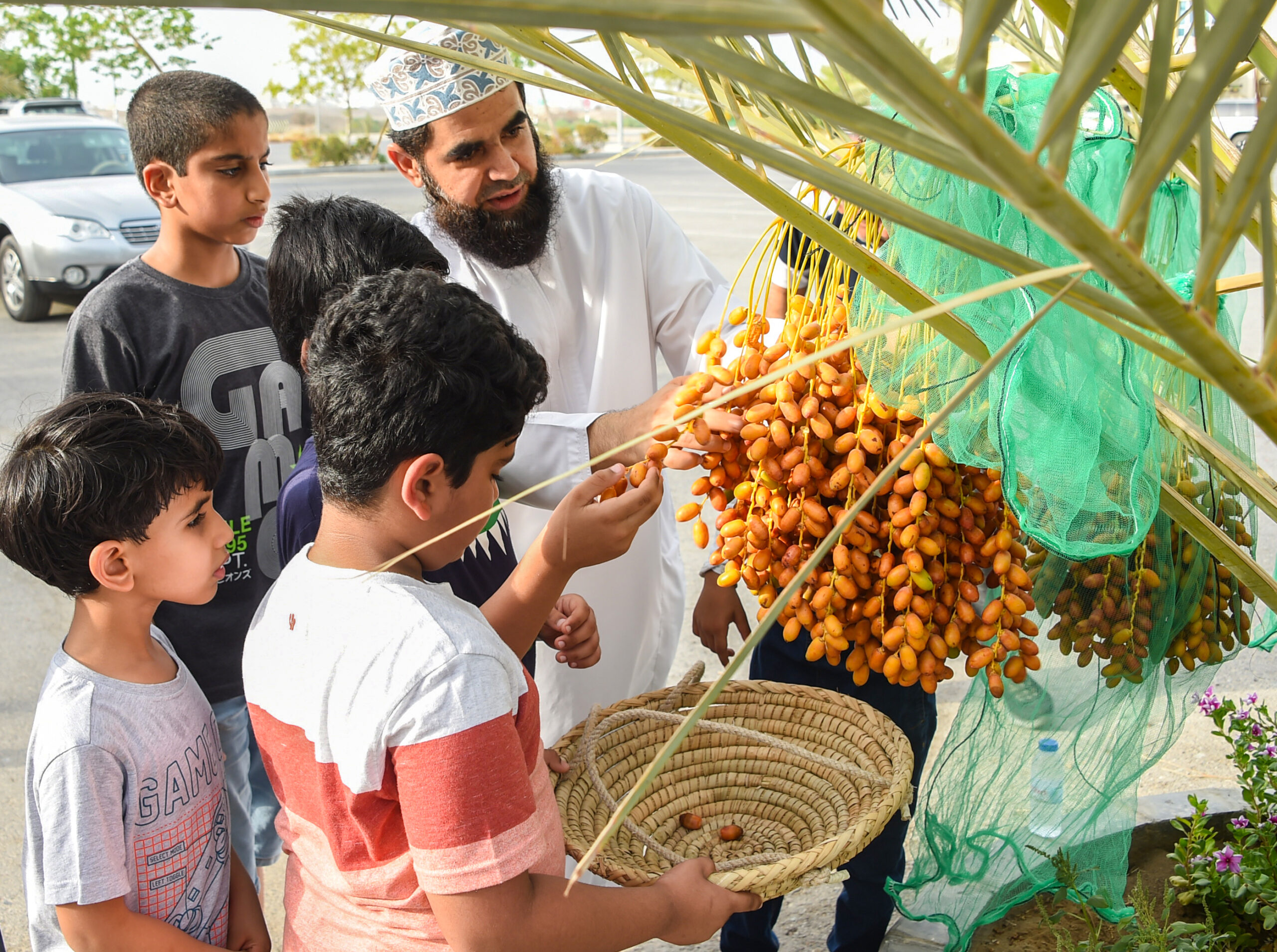 “خراف النخيل”.. مبادرة مجتمعية بولاية السيب
