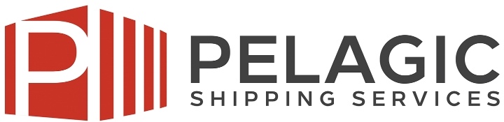 شركة خدمات و مستلزمات الشحن تعلن فرصة تدريب