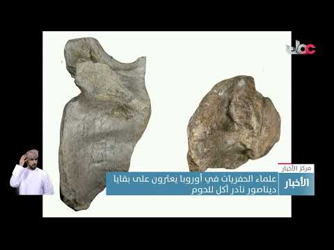 علماء الحفريات في أوروبا يعثرون على بقايا ديناصور نادر آكل للحوم