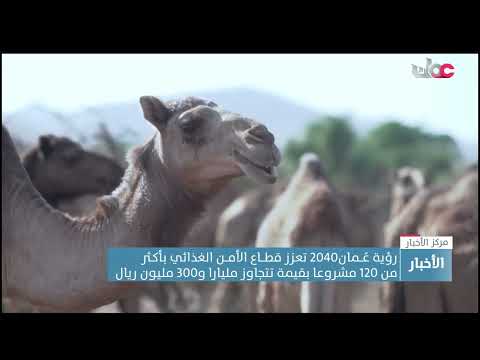 رؤية عُمان2040 تعزز قطاع الأمن الغذائي بأكـثر من 120 مشروعا بقيمة تتجاوز مليارا و300 مليون ريال