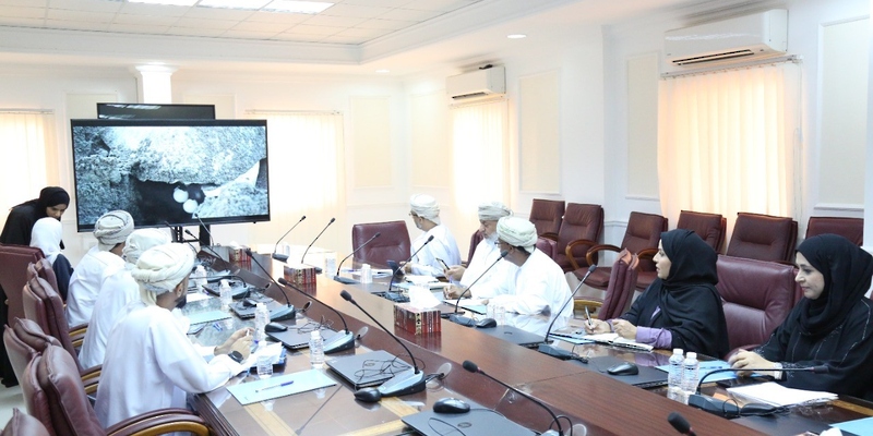 هيئة البيئة تنظم برنامجا عن السلاحف البحرية